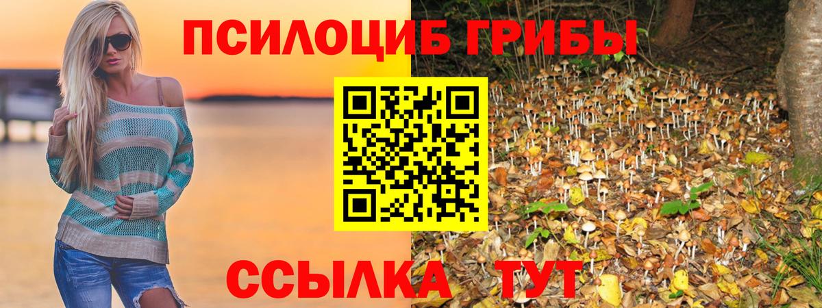 Псилоцибиновые грибы мицелий  Галлюциногенные грибы Psilocybine cubensis  Бирск  Вход с VPN 